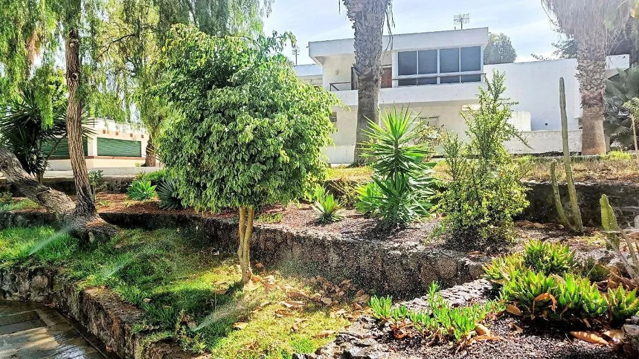 Bouganville En Eureka 德尔锡伦西奥海岸